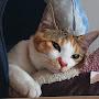 @자장자장-g9k