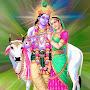 @navleshsingh7475