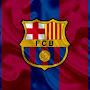 @ViscaFCBarcelona
