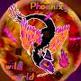 @Phoenixwildworld