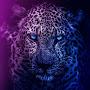 @m_alkhmees984