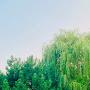 @vaibhavkodidini9561