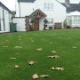 @lawncare-4u849