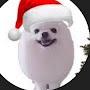 @EggBol1