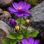 @minagiovinazzi7351