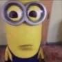 @Ihaveacrushongometa10onroblox