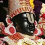 @umamaheshwaridevi8768