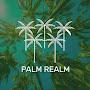 @PalmRealm