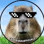 @capybaraoffical2