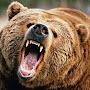 @grizzlycountry1030