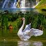 @hellilamur9590