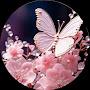 @Yasinmondal-k7z