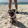 @Papa-c6npug