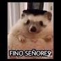 @elpanitahamsterterrariarob2586