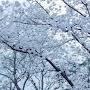 @Anudary3331-y6p