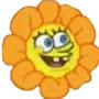 @FlowerSpongee