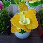 @mdshahed2737
