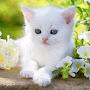@khoi6873