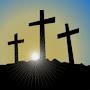 @holygrounds5882