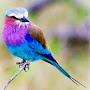 @zayyar3689