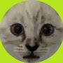 @drool-