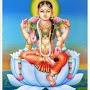 @padmanabhanv8961