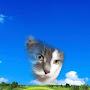 @thaddeusbeadle6546