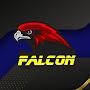 @amir-falconn
