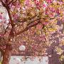 @badriaalghamdi4226