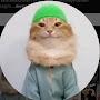 @kedullah10
