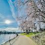 @mariar3933