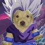 @gokucraftect3315