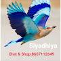 @siyadhiyataantsarees6135