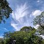 @飛花流雲一生輕