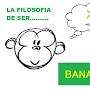 @filosofiadeserbananero4841