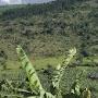 @MuchLove4Nature