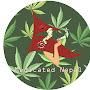 @medicatednepal6535