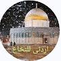 @paradiseinantherworld8575