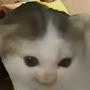 @天玄粉