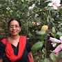 @ushakrishnamoorthi879
