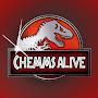 @cheems-alive800