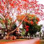 @ankitghosh5573