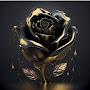 @ummesalmanoori8585