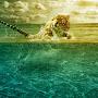 @anon_lightworker6618