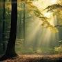 @naveedxtalha3978