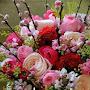 @madhavishelar1907