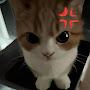 @NurulfadilahIbrahim-u1h