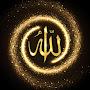 @shayanbalooshi3186
