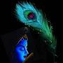 @rimpyverma1722