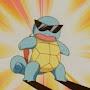 @Squirtle.turtle